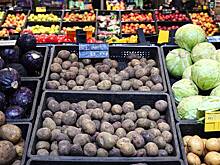 Резко подорожавший картофель разрешили ввозить в Россию беспошлинно