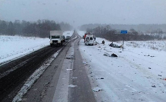 На трассе «Пермь-Екатеринбург» столкнулись Renault Logan и Камаз. Погибли две женщины