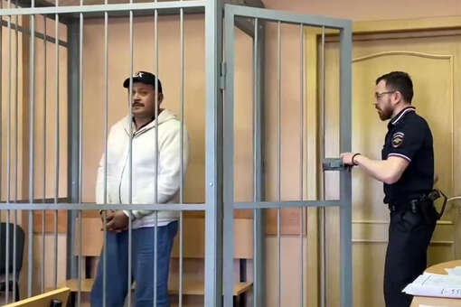 В Петербурге мигранта арестовали за попытку похищения девушки