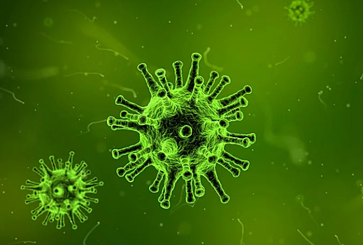 Почти 14% нижегородцев боятся заболеть китайским коронавирусом