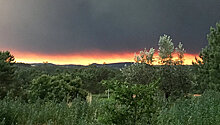 Число жертв лесных пожаров в Португалии достигло 39