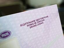 Эксперт выступает за возвращение домой мигрантов, которые не знают ПДД