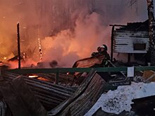 При пожаре в конюшне в Москве погибли восемь лошадей