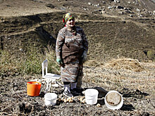 Непрозрачность в распределении грантов мешает развитию фермерства СКФО