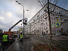 Ураган повалил в Москве более тысячи деревьев