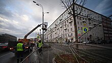 Ураган повалил в Москве более тысячи деревьев
