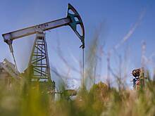 Еще одна страна снизила потолок цен на нефть из России
