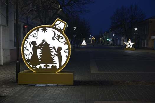 Елец готовится к проведению новогоднего фестиваля «Елки Липецкой земли»