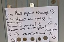 Барнаульцы поддержали флешмоб в память об умершей от рака Соне Рыбиной