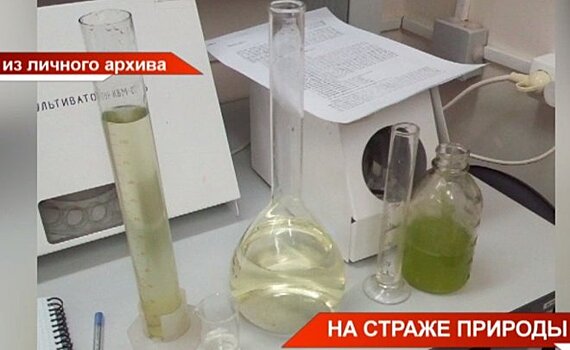 В Казани стартовал Всероссийский юниорский водный форум — видео