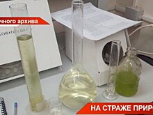В Казани стартовал Всероссийский юниорский водный форум — видео