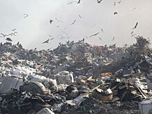 Вонь с Гусинобродской свалки накрыла Дзержинский район Новосибирска