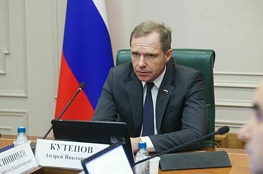 Сенатор Кутепов: Условия проката для онлайн- и офлайн-кинотеатров нужно уравнять
