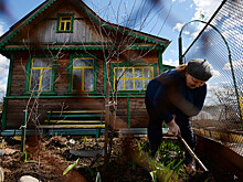В ГД рассказали, на что обращать внимание при покупке дачи у водоема