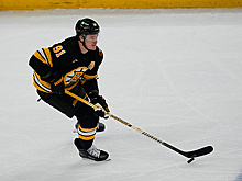 Передачи Задорова и Хуснутдинова помогли "Бостону" победить "Юту" в НХЛ