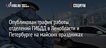 Опубликован график работы отделений ГИБДД в Ленобласти и Петербурге на майских праздниках