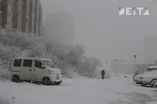 Борис Кубай подвинул сроки удара снежного циклона по Приморью