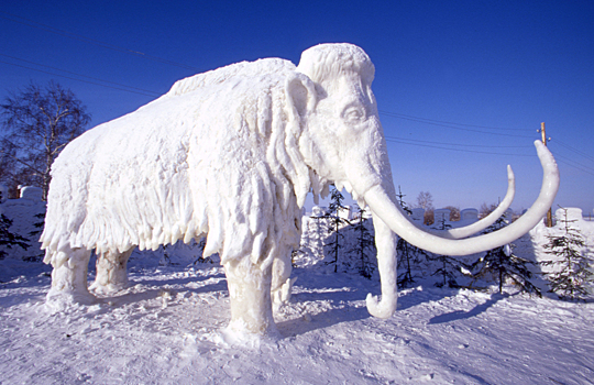 Якутию охватила «мамонтовая лихорадка»