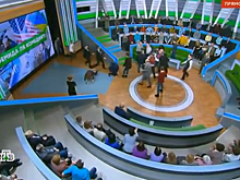 Ведущий и политолог подрались в студии НТВ