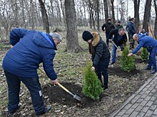 Астраханские судебные приставы поддержали международную акцию «Сад памяти»
