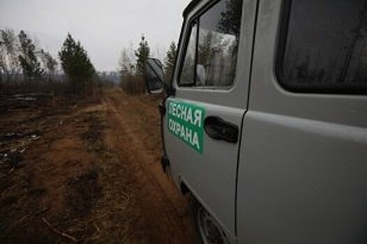 За минувшие сутки в лесном фонде на территории Иркутской области ликвидировано два пожара