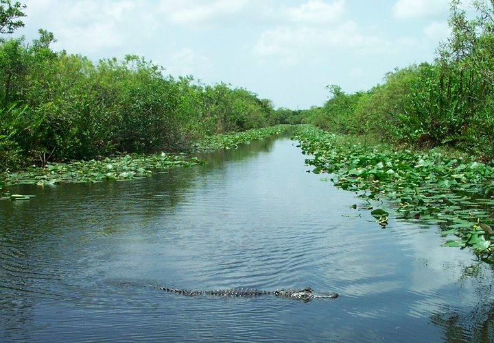 Сафари-парк Everglades, Майами, США, Северная Америка и Карибы