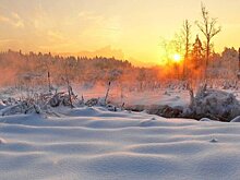 "Лосиный остров" призвал не купаться в водоемах нацпарка на Крещение