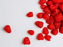 Подмосковье закрепилось в топ-3 производителей органических продуктов в России