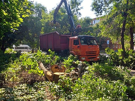 В Пензе в выходные проводят комплекс работ по благоустройству