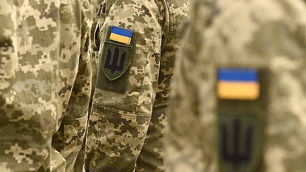 Эксперт заявил о приверженности Украины неонацизму из-за медали со «свастикой»