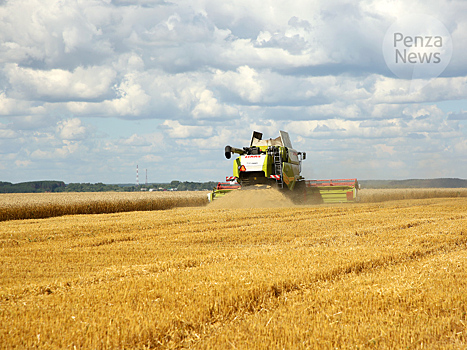 В Пензенской области намолочено около 3,2 млн. тонн зерновых