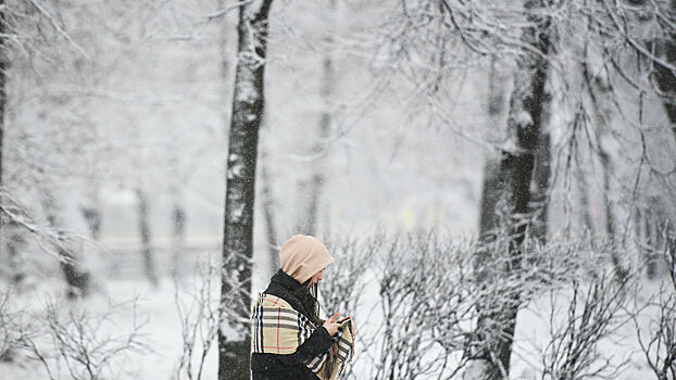 Россиянам спрогнозировали погоду зимой