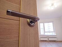 Более 3,3 тыс. москвичей получили новые квартиры по программе реновации в ноябре