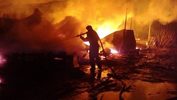 В Приамурье при пожаре в жилом доме погибли четыре человека