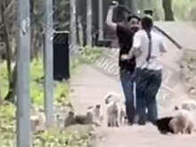 В Казани собачники устроили поединок на палках и попали на видео