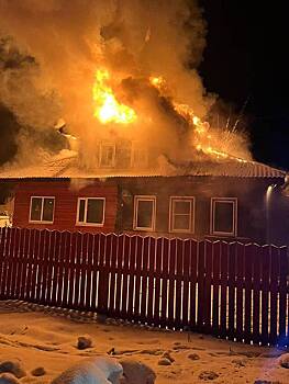 Россиянка заживо сгорела в доме с чужими детьми