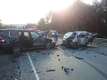 Пять жертв встречки