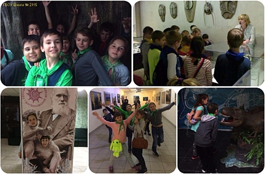 Школьники из Черемушек побывали на экскурсии в Дарвиновском музее