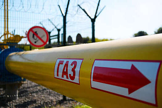 Гендиректор Energie AG Штайнекер: доля газа из России в импорте Австрии занимает до 50%