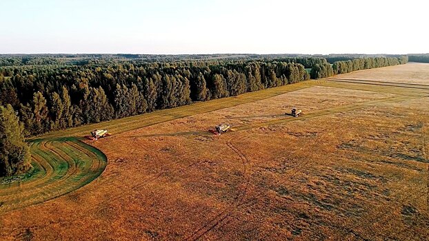 Более 150 000 тонн урожая – агрохолдинг «Дороничи» подвел итоги уборочной кампании