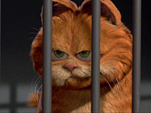 Приставам уже дали указания: когда они могут прийти за вашим питомцем