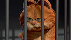 Приставам уже дали указания: когда они могут прийти за вашим питомцем