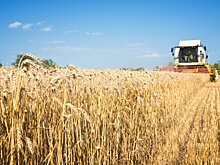 В Рузском городском округе подвели итоги сбора сельхозкультур