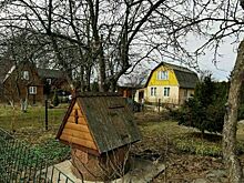 Росреестр предложил упростить оформление прав на общее имущество дачников в СНТ