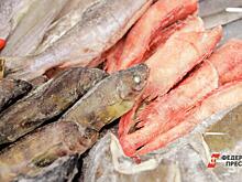 В Приморье выловили 660 тысяч тонн рыбы и кальмара