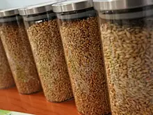 Все зерно - на свет: этапы цифровизации зернового комплекса