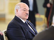 Лукашенко заявил кабмину, что нужно поискать в Беларуси редкоземельные металлы