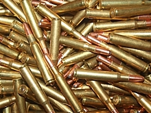 Россиянина задержали в аэропорту Индии за перевозку патронов в птичьем гнезде