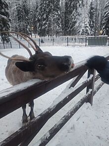 Анонсы событий и мероприятий на выходные (18+)