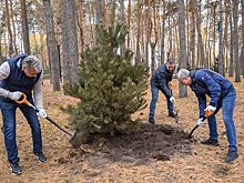 На субботник в Воронежской области вышли более 100 тысяч человек